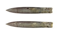 Neohibolites semicanalicatus00